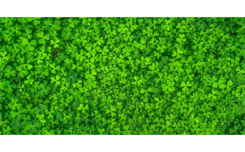 Luck of the Irish!