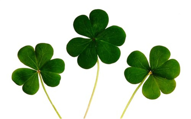 Go Irish!